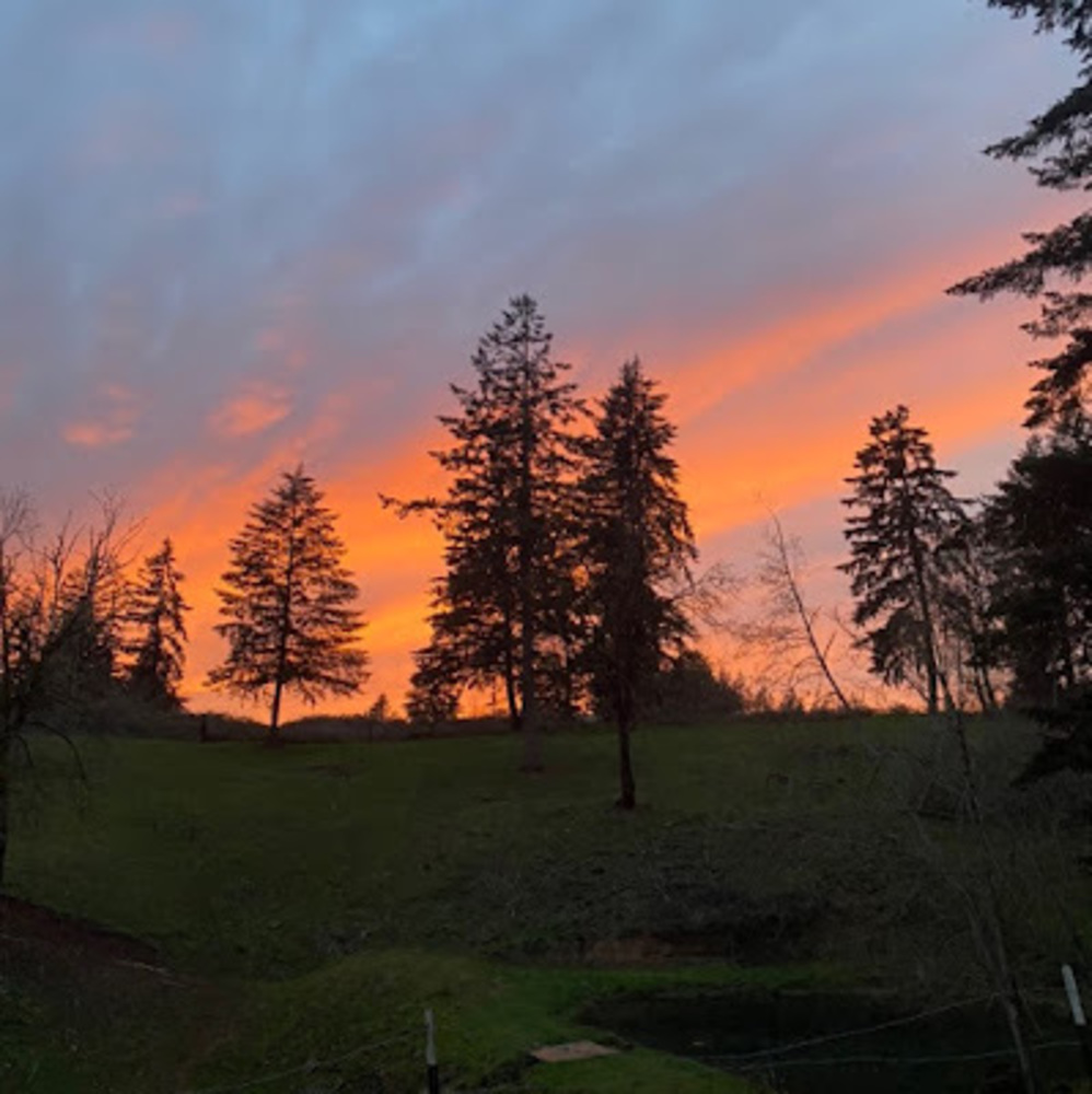 Meet your Posher, Dallas